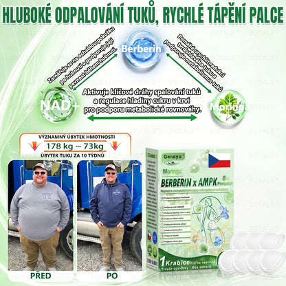 𝐆𝐞𝐧𝐚𝐲𝐮® metabolická nano mikrojehličková náplast 🧑‍⚕️ (Pouze jednou denně, viditelné výsledky již do 7 dnů!) ✅ Formule Berberin + Moringa, ideální při nadváze, nedokonalostech pokožky, diabetu, spánkové apnoe a kloubních potížích 💥💥